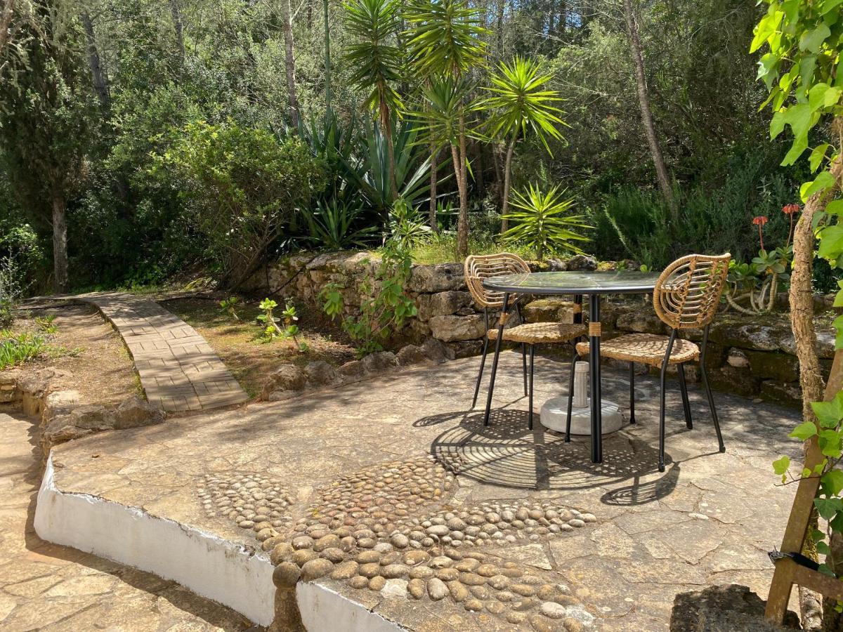 Can Iara Sant Miquel de Balansat Εξωτερικό φωτογραφία
